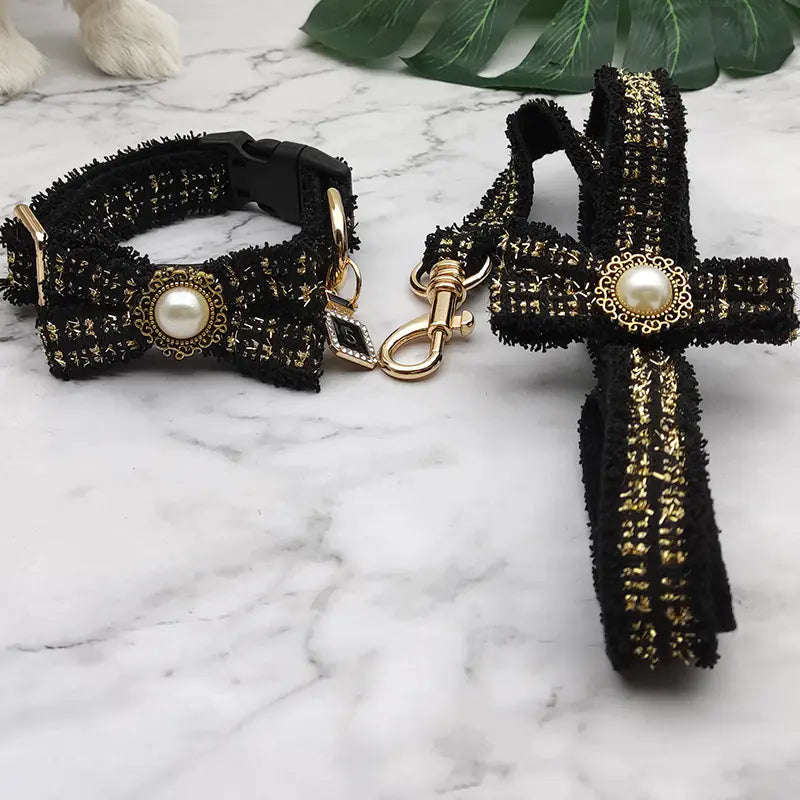 Pet Collar and Leash Set for Outdoor Use